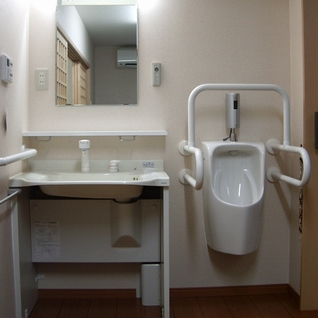 �o���A�t���[���C