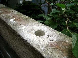 �h�ƃt�F���X